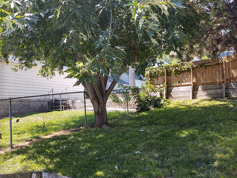 Fully Fenced Backyard.