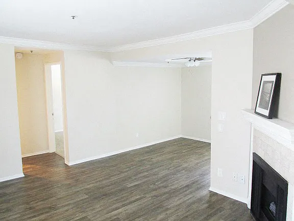 Warner Courtyard Apartments — Photo 10