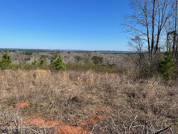 4th image of 355.7 Horseshoe Road