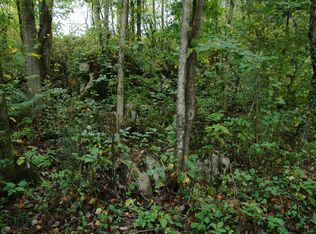 3855 Light Pink Rd, Louisville, TN 37777