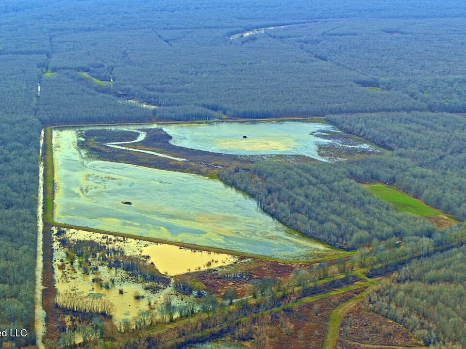 19th image of this home