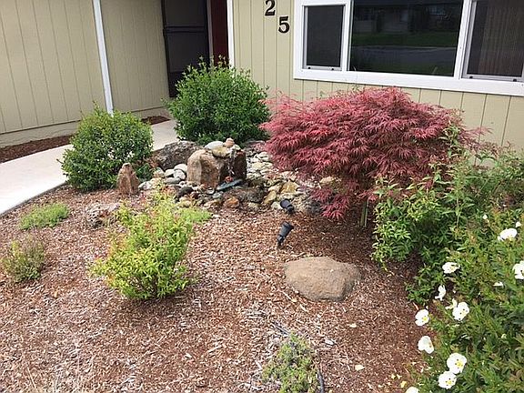 New Landscape, Water Feature