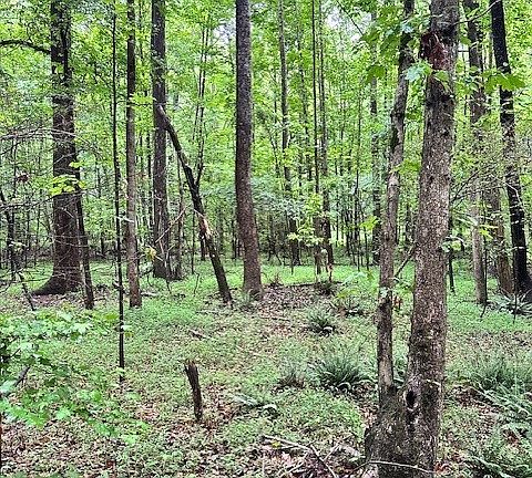 5th image of 0 Cedar Lane