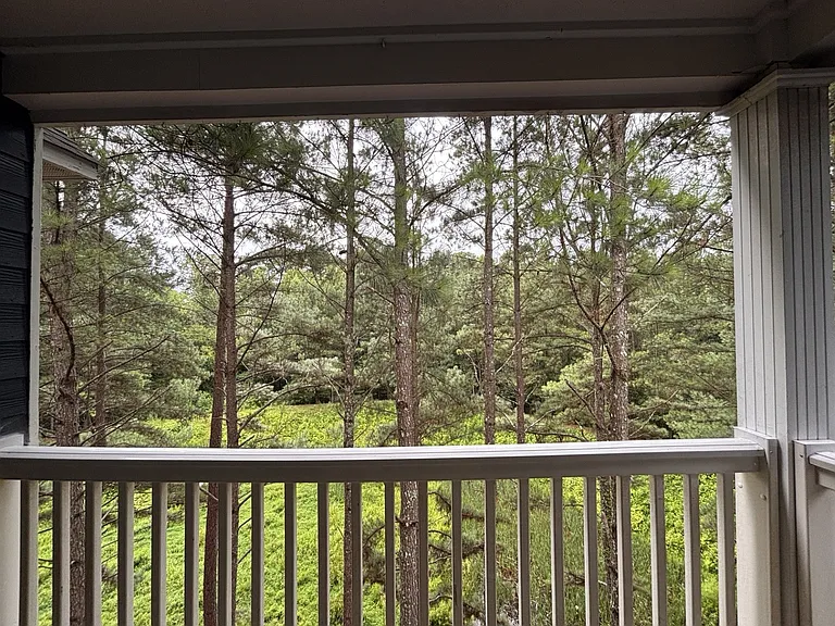 The Crest at Sugarloaf — Photo 168