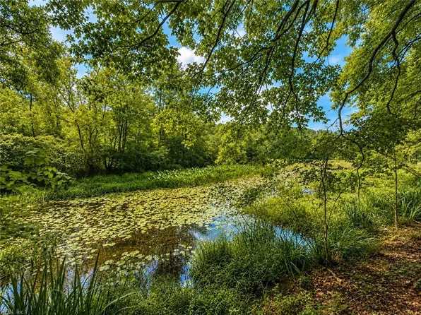 6 Birdsong Rd, Ebony, VA 23845