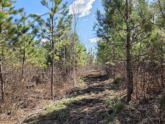 2nd image of 4 Prairie Lake Rd