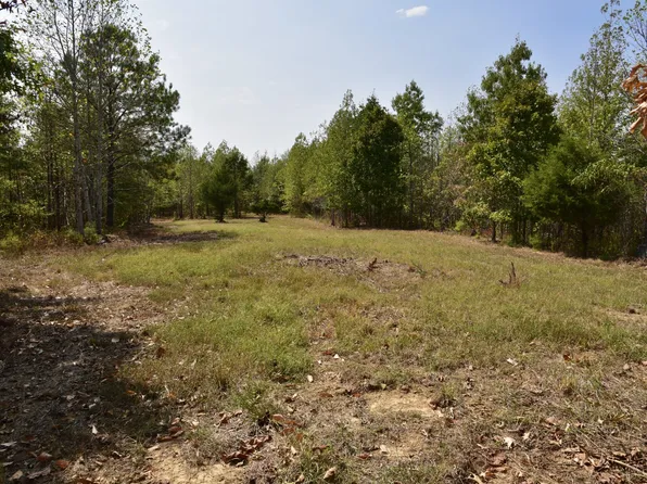 0 Fire Tower Rd Tract 7, Erin, TN 37061