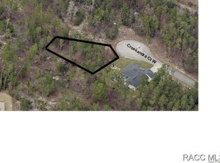 14 Crossandra Ct W, Homosassa, FL 34446