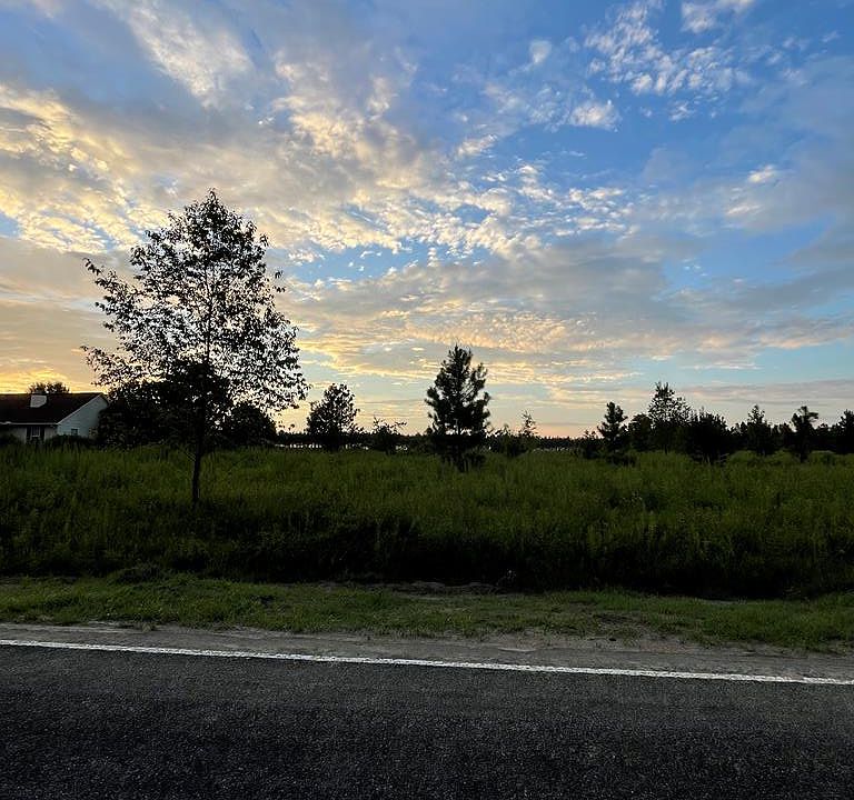 0 Scarlett Ohara Dr, Ailey, GA 30410 Zillow