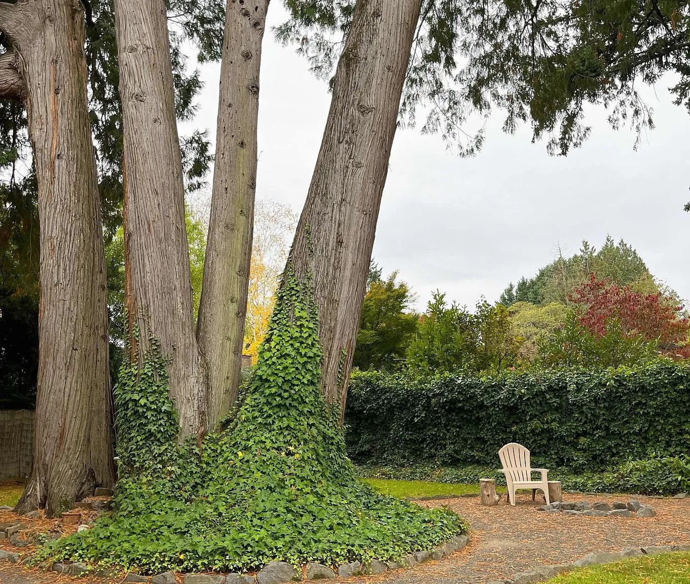 4 bed, 2400 sqft, $2,920 — Photo 2