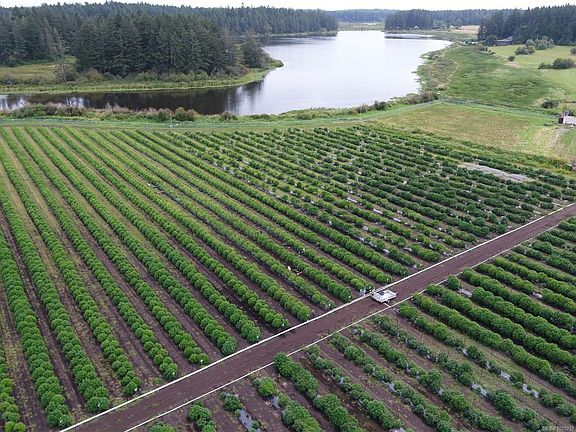 5th image of 2550 Quennell Rd