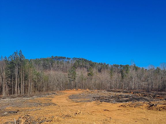 4th image of Bluewater Trce