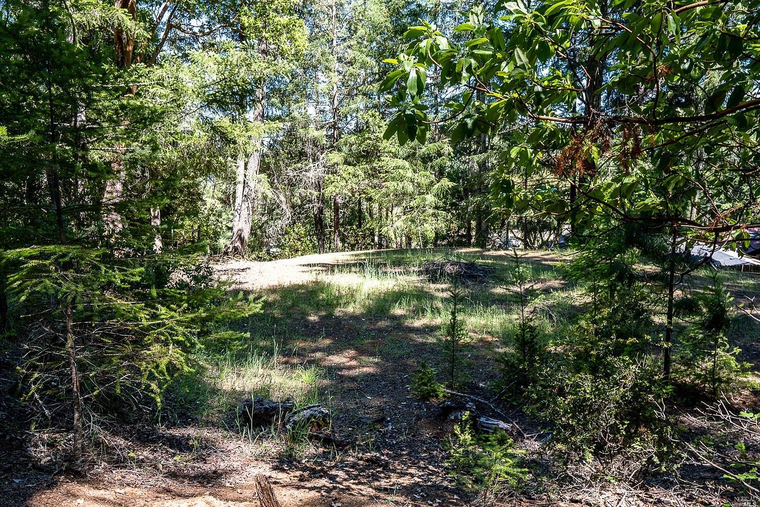 2760 Deer Pl Willits Ca 95490 Mls 22013229 Zillow