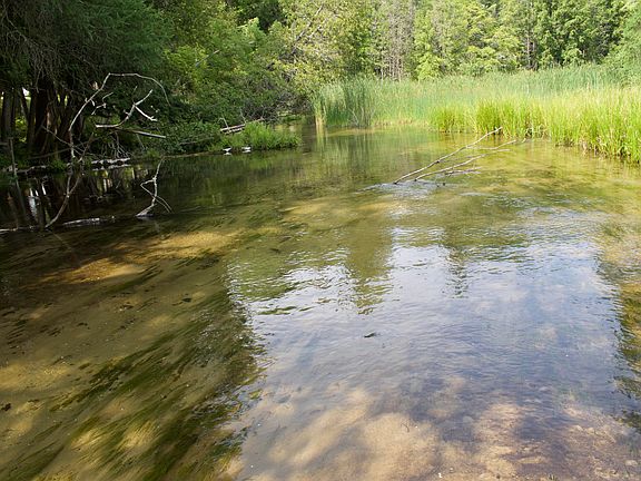 2nd image of 4573 N Able Rd