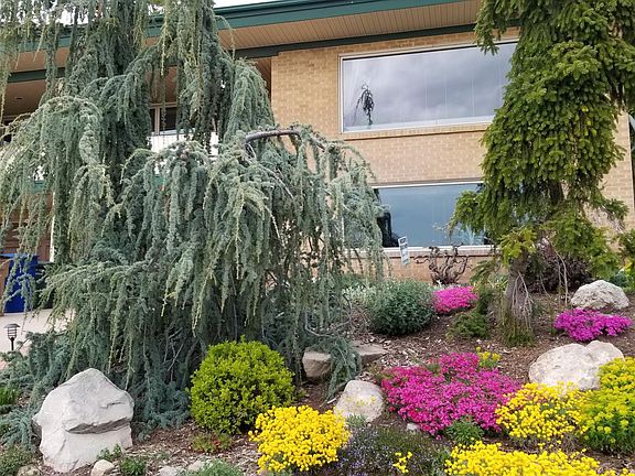 Early April out front