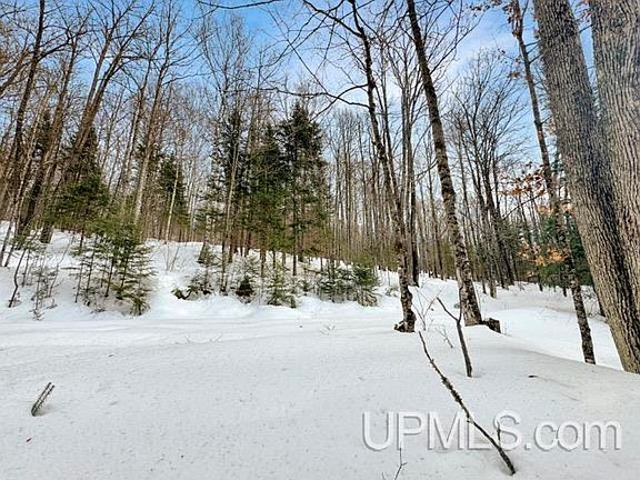 4th image of 176 E Lake Emily Rd