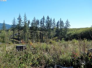 0 NE Hinness Rd, Brush Prairie Wa, WA 98606