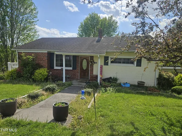 150 Tyrone St, Dungannon, VA 24245