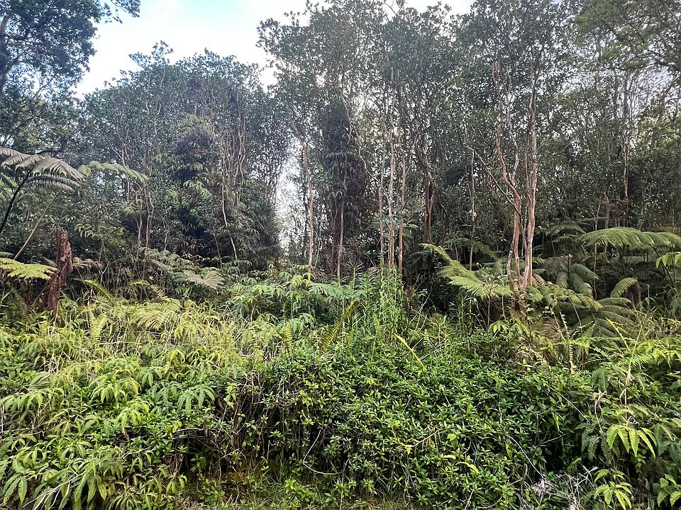 2nd image of 7 Road