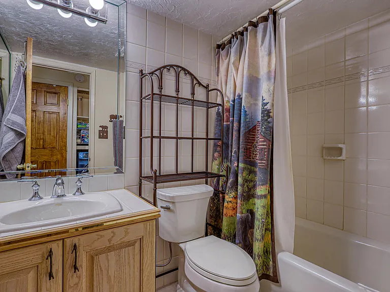 1063 Vail View Dr #1-1LIONS — Photo 6