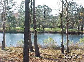 3rd image of 31852 Schooner Dr
