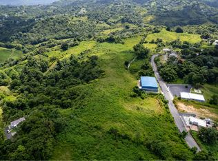 917 Street, Las Piedras, PR 00771