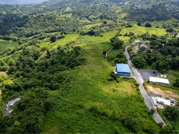 917 Street, Las Piedras, PR 00771