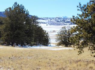 37 Black Canyon Ct, Hartsel, CO 80449