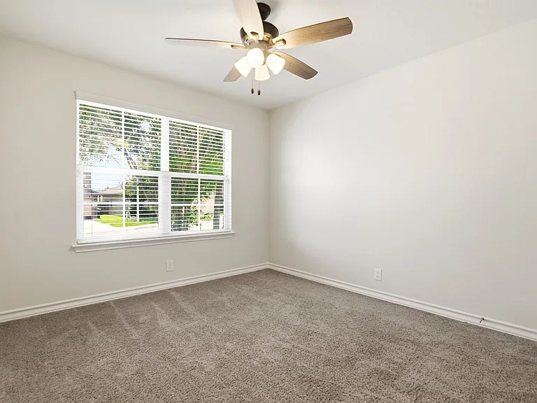 15441 Cooks Petrel — Photo 20