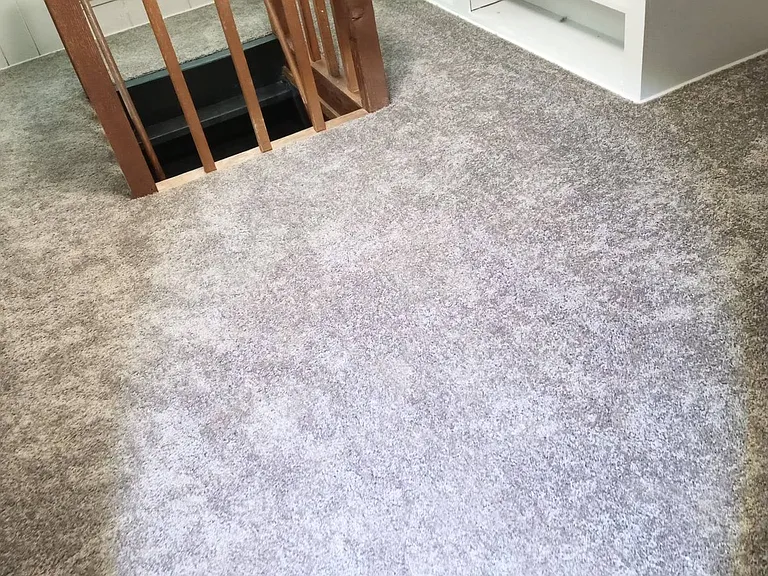 jpg
