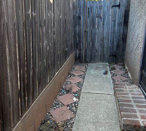 5th image of 348 Broderick Ave