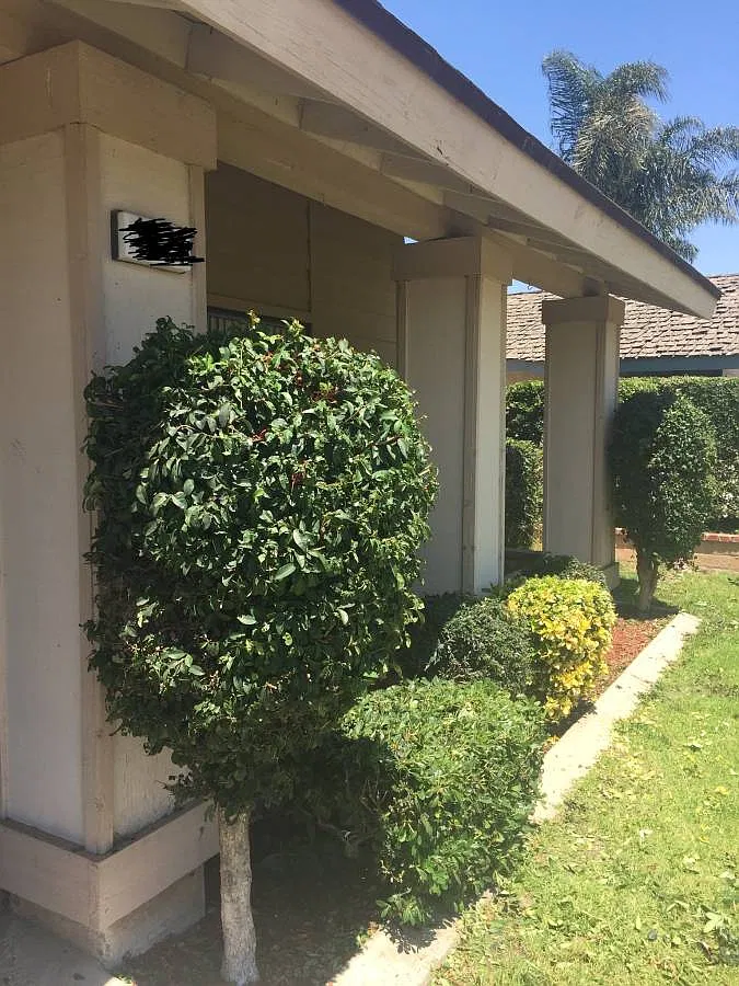 El Dorado Ave, Oxnard — Photo 3