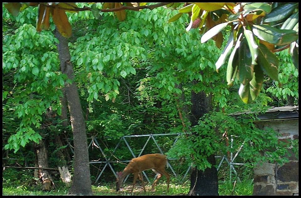 almost one acre
