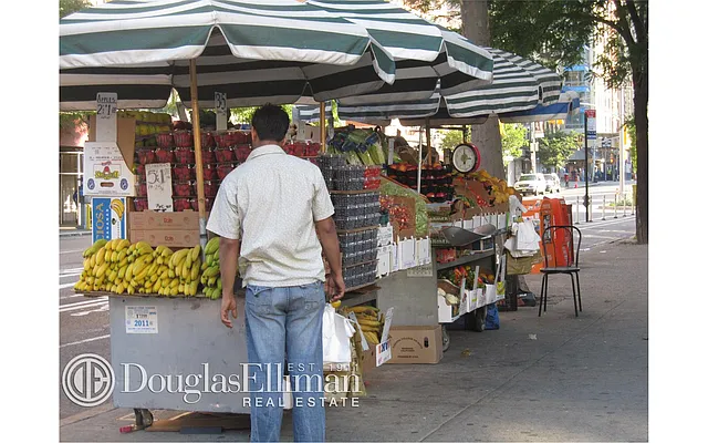 Sold by Douglas Elliman | media 15