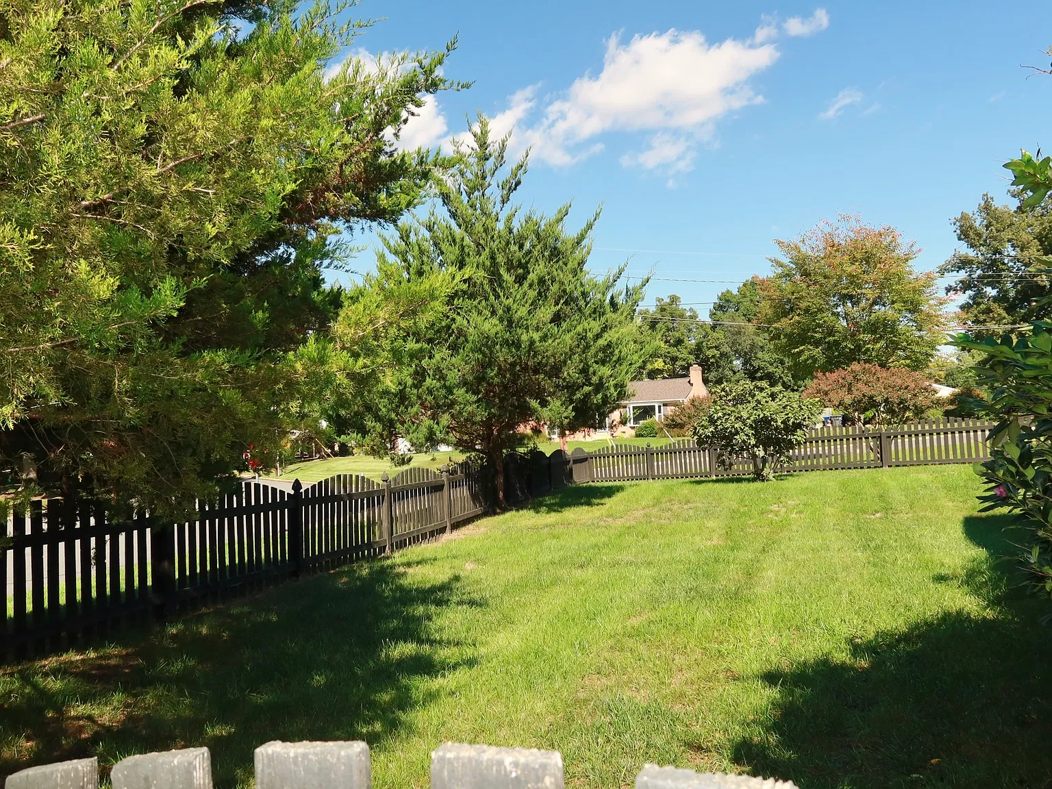 4 bed, 1050 sqft, $3,900 — Photo 3