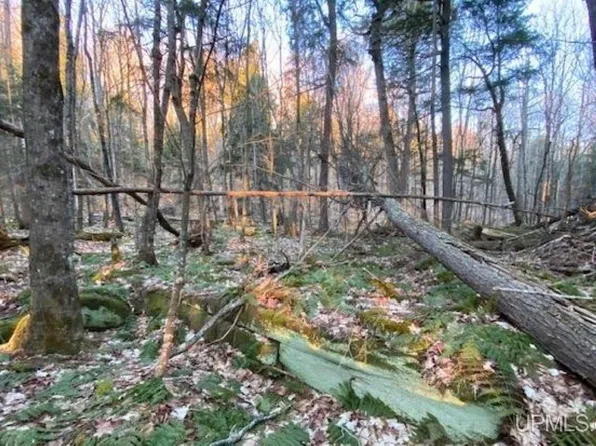 W Shore Dr, Munising, MI 49862