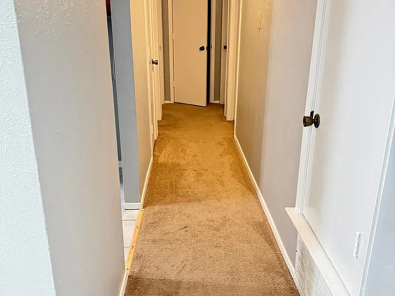 3111 Primrose Ln — Photo 23