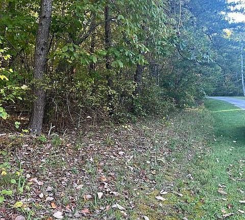 2nd image of 0 Bussell Dr Lot 25