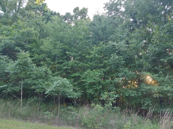 0 Eagle Shore Dr Lot 6, Dover, TN 37058