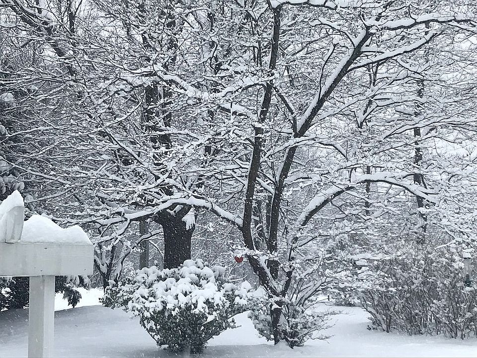 2nd image of 9201 Windsor Meadows Ln