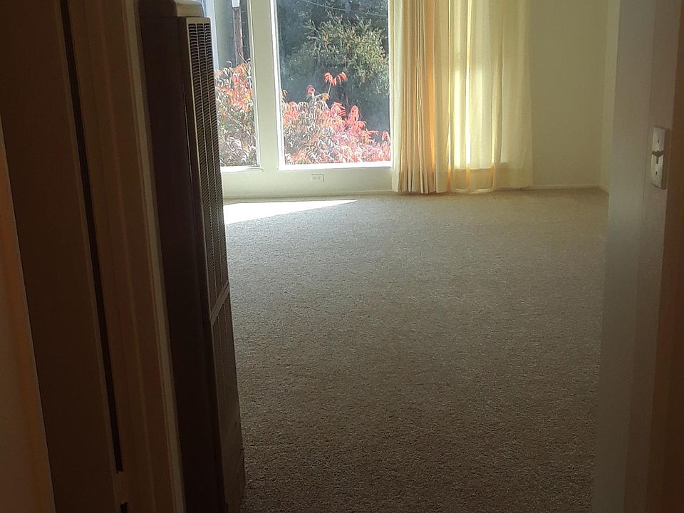 Living Room and New Curtains