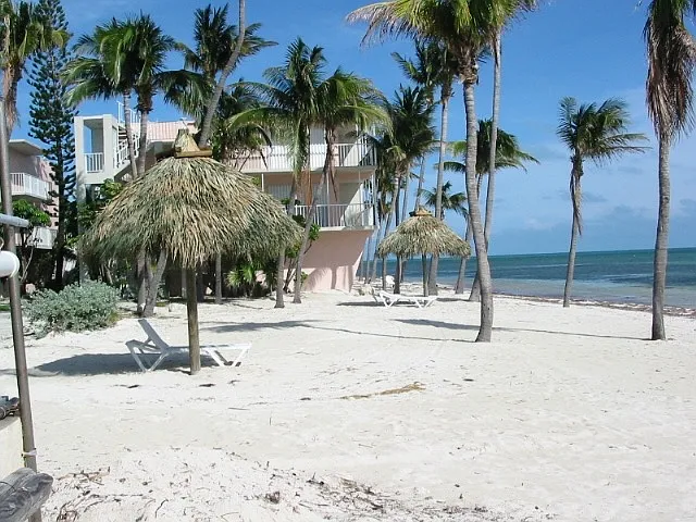 65700 Overseas Hwy #A1 — Photo 19