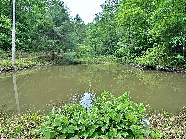 4620 Gribble Rd — Photo 22