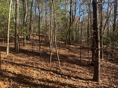 1982 Pine Log Church Rd, Brasstown, NC, 28902