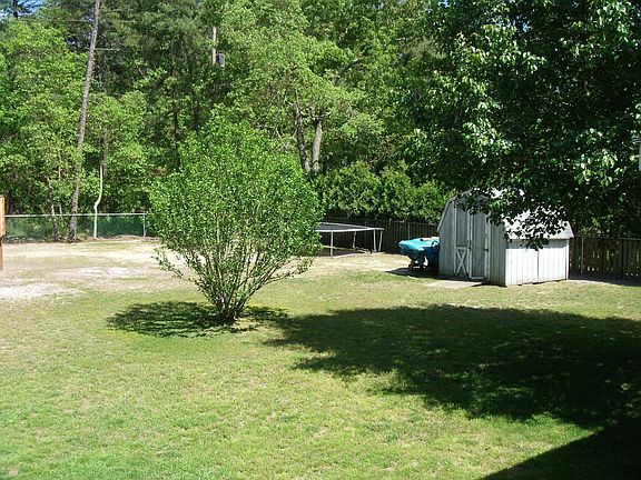 back yard