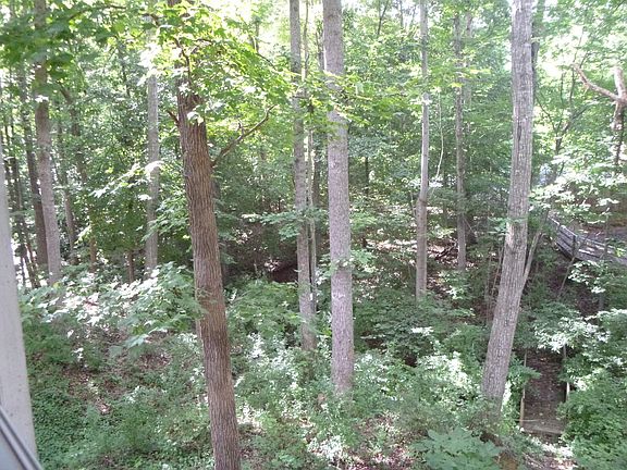 View of back yard