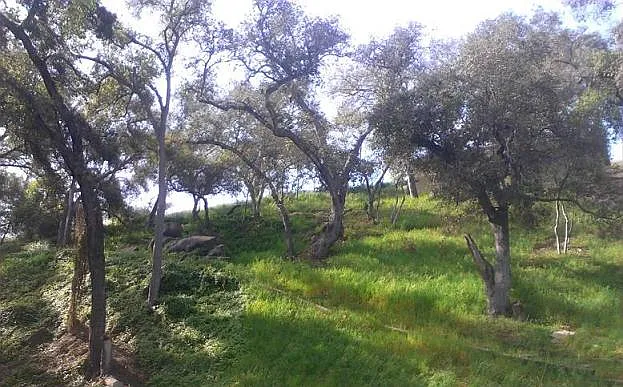 E Vista Way — Photo 9