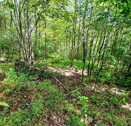 3rd image of 702 Shepherd Rd