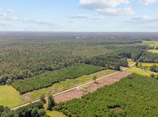 LOT 4 Black Creek Rd, Nichols, SC 29581