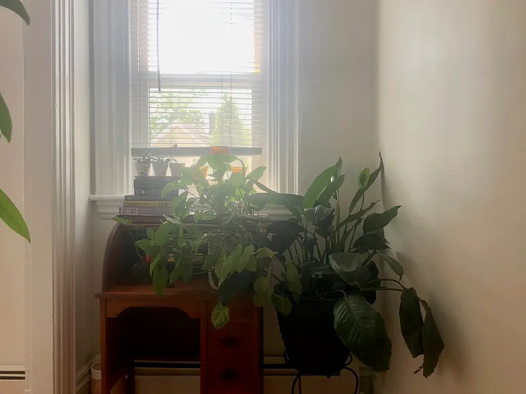 390 Main St #2 — Photo 7